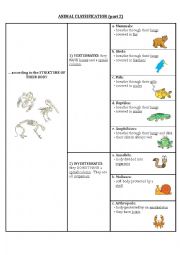 English Worksheet: Animal classification (part 2)