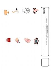 English Worksheet: Body parts + puzzle