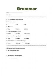 English Worksheet: Grammar Test for Grade Four