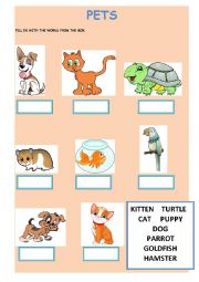 English Worksheet: Pets