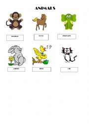 English Worksheet: animals