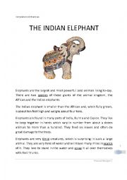 English Worksheet: The Indian Elephant reading comprehension