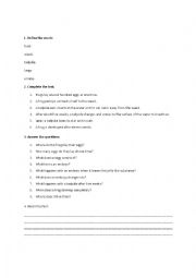 English Worksheet: activities related to the life cycle of a frog