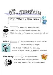wh questions part 2