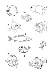 English Worksheet: Colour the fish