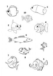 Colour the fish