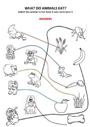 English Worksheet: WHAT DOES ANIMAL EAT?