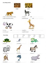 English Worksheet: Describing animals