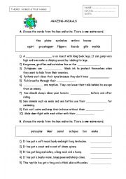 English Worksheet: Animal Facts