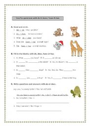 English Worksheet: COUNTABLE& UNCOUNTABLE-HAVE-HAS -DO-DOES