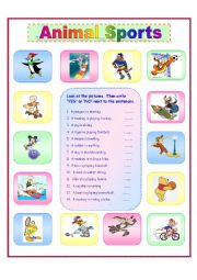 English Worksheet: Animal Sports