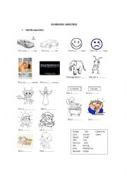 English Worksheet: Adjectives, vocabulary