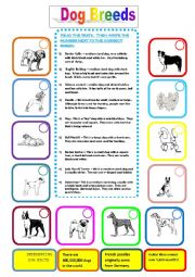 English Worksheet: Dog Breeds