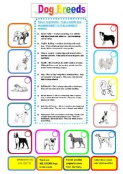 Dog Breeds