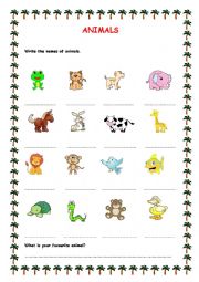 English Worksheet: Animals