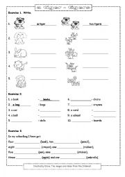 English Worksheet: a tiger - tigers