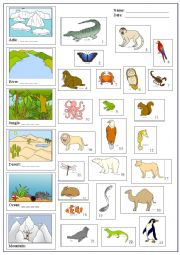 English Worksheet: animals and places