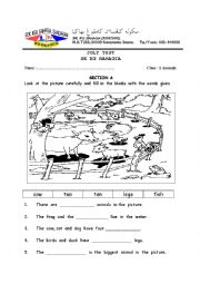 English Worksheet: ENGLISH TEST FOR YEAR 1