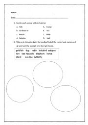 English Worksheet: Animal Habitat