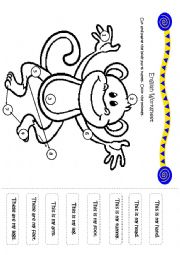 English Worksheet: Monkey