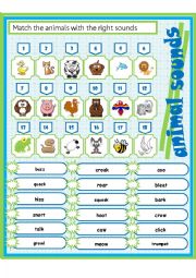 English Worksheet: animal sounds