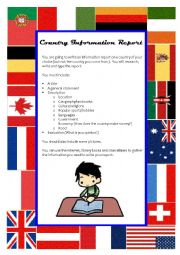 Country Information Report