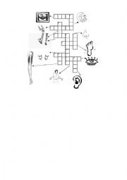 English Worksheet: Body crossword