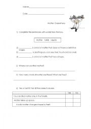 English Worksheet: States of Matter