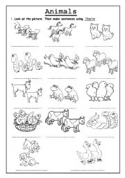 English Worksheet: Animals