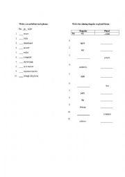 English Worksheet: Singular and plural exercises