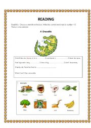 English Worksheet: READING