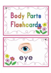 body parts flashcards