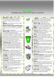 English Worksheet: Vocabulary relating to environment 2