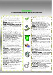 English Worksheet: Vocabulary relating to environment 2