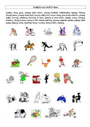 English Worksheet: hobbies and sports