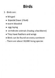 English Worksheet: Birds