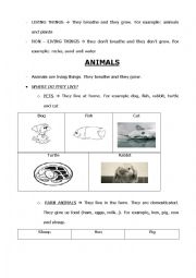 English Worksheet: Animals