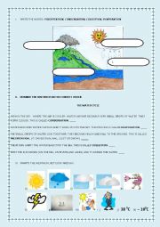 English Worksheet: Water Cycle and Weather