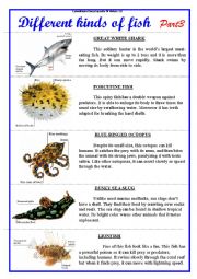 English Worksheet: Different kinds of fish. Part 3.