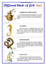 English Worksheet: Different kinds of fish. Part 2.