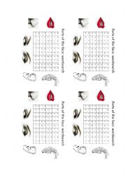 Parts of the face wordsearch