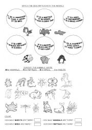 English Worksheet: CLASSIFY ANIMALS