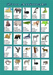 English Worksheet: Zoo animals