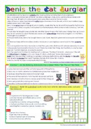 English Worksheet: Denis the Cat Burglar (Reading + Video Listening)