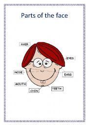 English Worksheet: Parts of the face