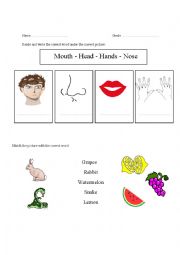 English Worksheet: five senses 