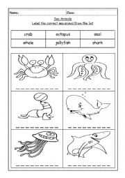 English Worksheet: Mr