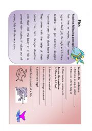 English Worksheet: Reading Comprehension