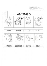 English Worksheet: animals