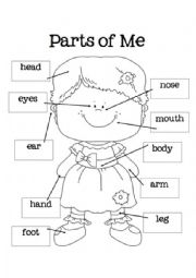 English Worksheet: All about my body!